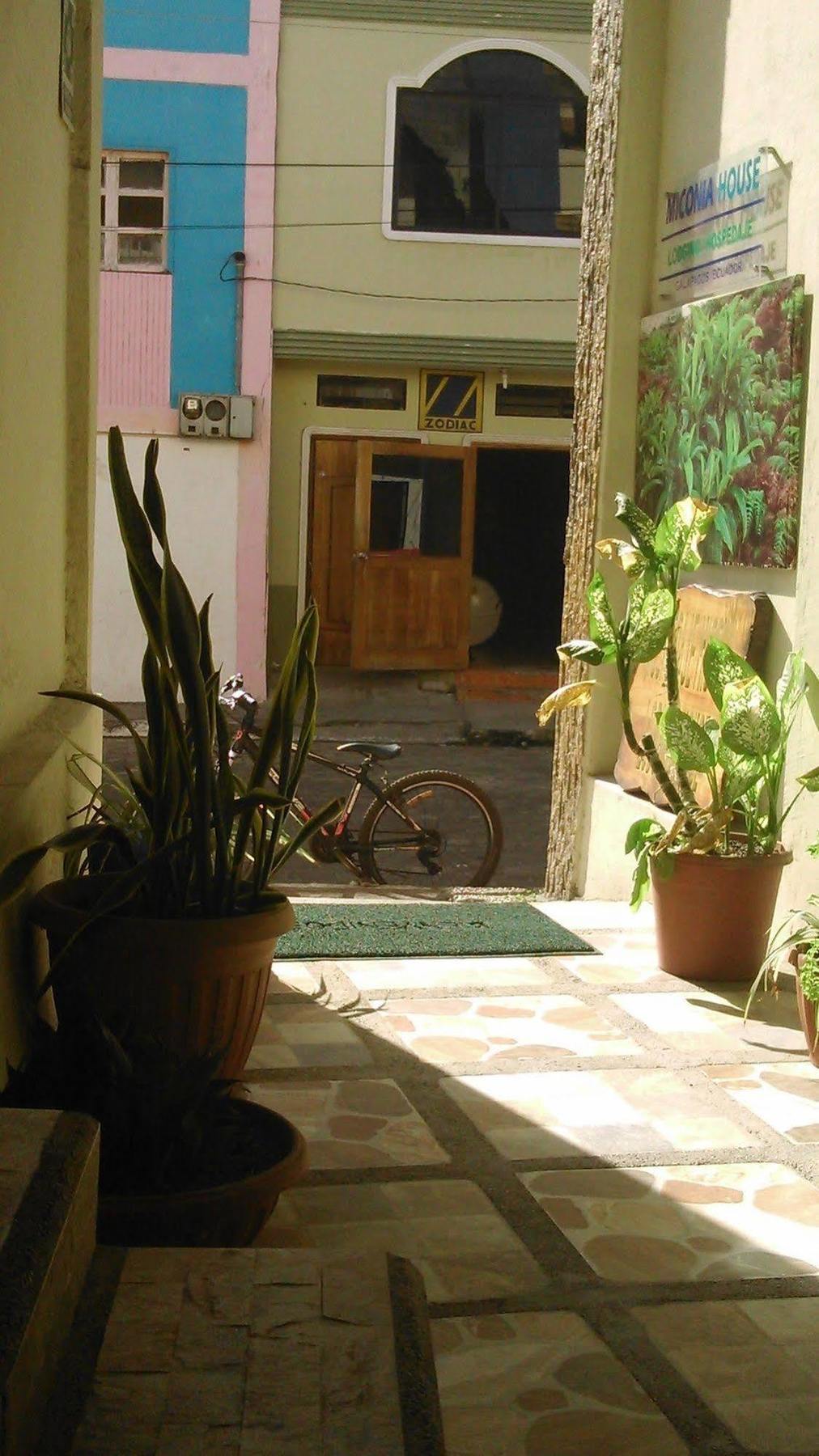 Hostal Miconia Puerto Ayora  Exterior foto